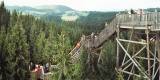 panorama_baumkronenweg_kopfing_sauwald.jpg